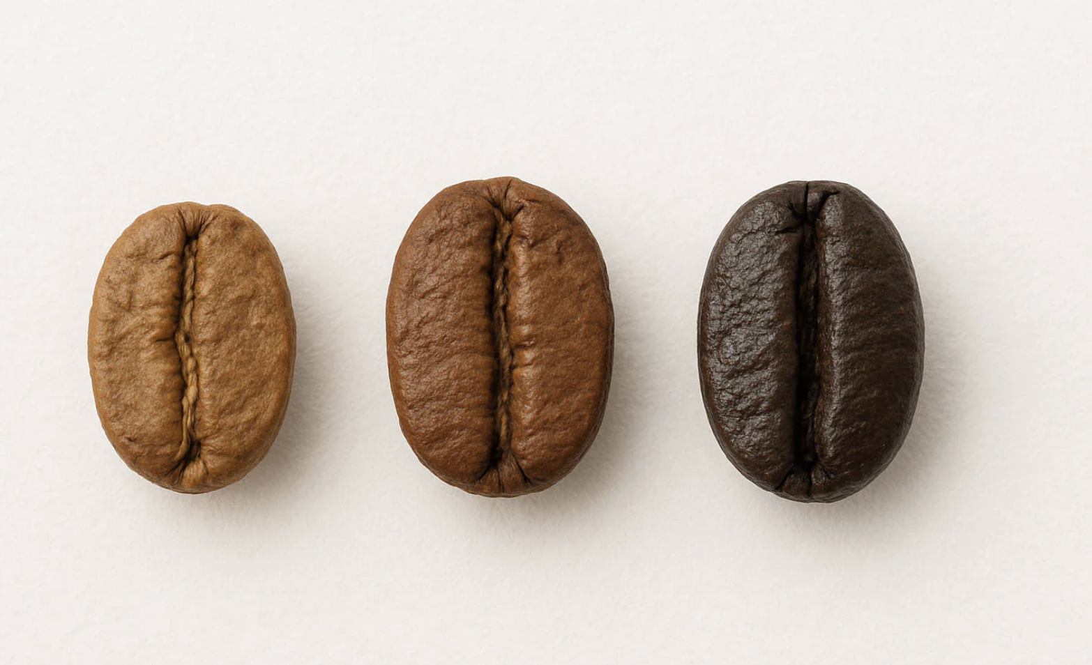 How Roast Level Changes the Way Coffee Tastes